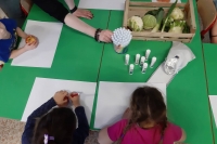 55535195_881728278824873_1213339793107189760_n