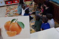 55849238_429316051169507_324206830404239360_n